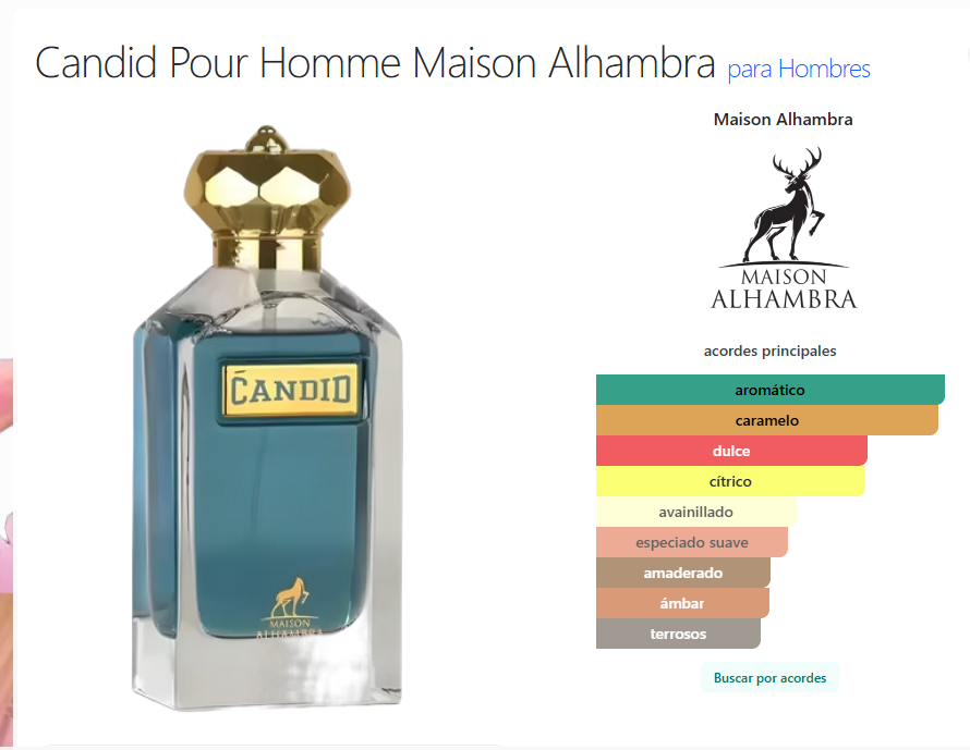 So Candid Pour Homme EDP 100ml - Maison Alhambra